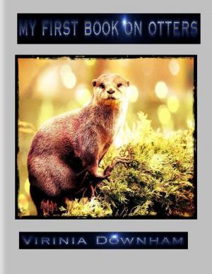 Cover of the book My First Book on Otters by Ray Merriam