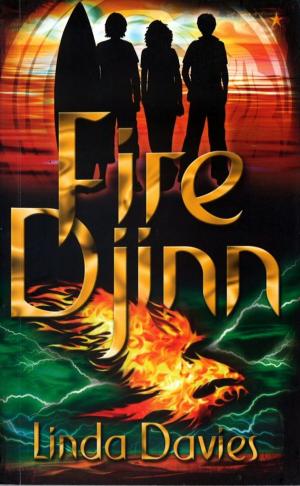 Cover of the book Fire Djinn by Rand B. Schaal
