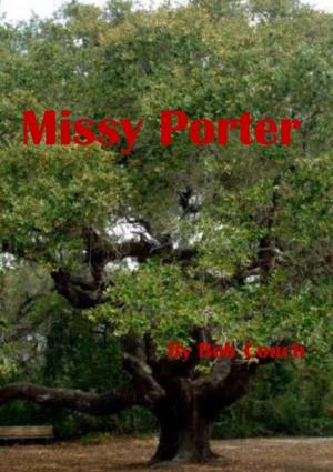 Cover of the book Missy Porter by Robert William Saul Harvey