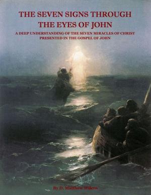 Cover of The Seven Signs Through the Eyes of John