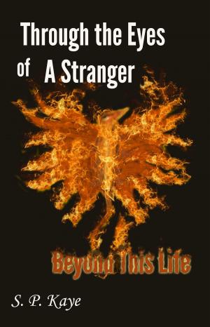 Cover of Through the Eyes of a Stranger: Beyond This Life