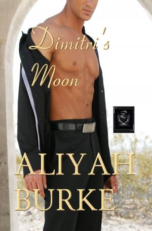 Cover of the book Dimitri's Moon by DD Lorenzo