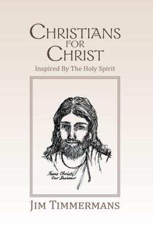 bigCover of the book Christians for Christ by 
