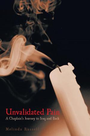 Cover of the book Unvalidated Pain by Dr. Juan Trafton Schmeltanzinger