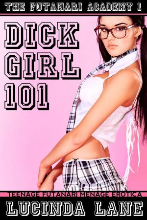 Cover of Dickgirl 101 (Teenage Futanari Menage Erotica)