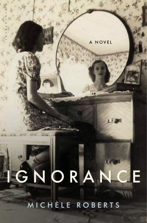 Cover of the book Ignorance by Associate Professor Jay Lampert