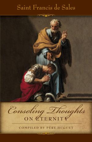 Cover of the book Consoling Thoughts on Eternity by Johan Cyprich