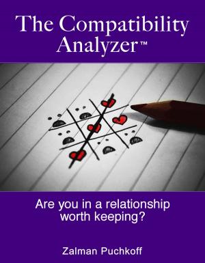 bigCover of the book The Compatibility Analyzer by 