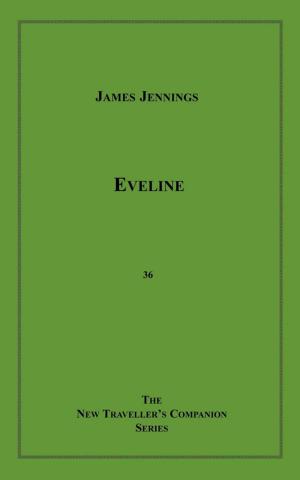 Cover of the book Eveline by C.S. Vanek