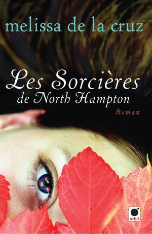 Cover of the book Les Sorcières de North Hampton* by Lilith Saintcrow