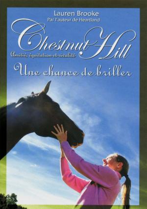 Cover of the book Chestnut Hill tome 11 by Léo MALET