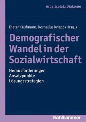 Cover of the book Demografischer Wandel in der Sozialwirtschaft - Herausforderungen, Ansatzpunkte, Lösungsstrategien by Sebastian Scholz
