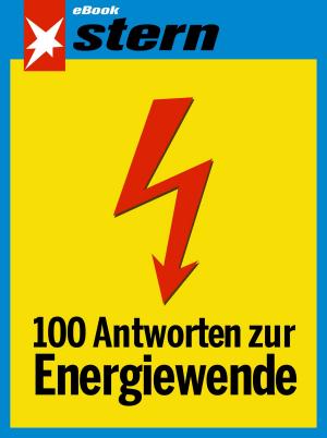 Cover of the book 100 Antworten zur Energiewende (stern eBook) by Mario Pagliaro, Rosaria Ciriminna, Francesco Meneguzzo, Lorenzo Albanese