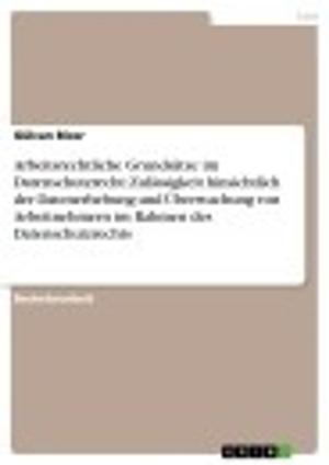 Cover of the book Arbeitsrechtliche Grundsätze im Datenschutzrecht: Zulässigkeit hinsichtlich der Datenerhebung und Überwachung von Arbeitnehmern im Rahmen des Datenschutzrechts by Sabine Lüke