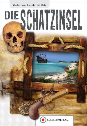Cover of the book Die Schatzinsel by Anne Grange