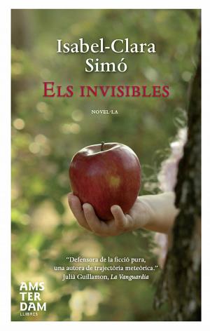 Cover of the book Els invisibles by Matías Manna, David Trueba