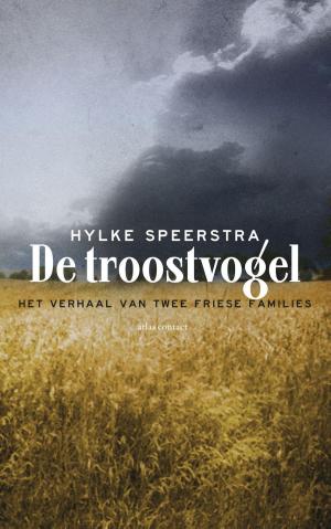 Cover of the book De troostvogel by Menno Lanting