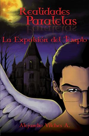 Book cover of Realidades Paralelas