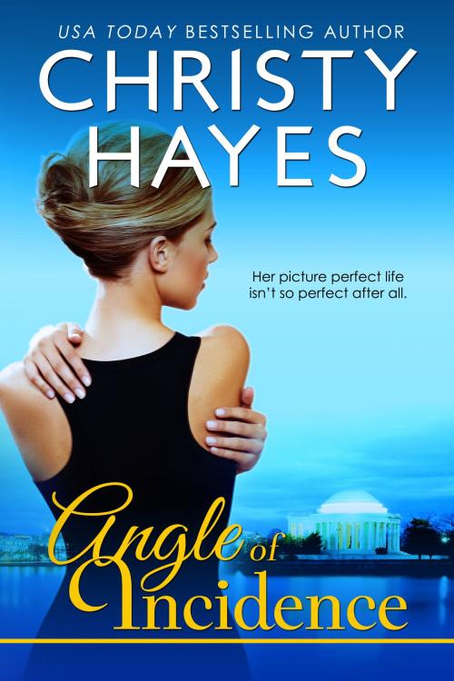 Cover of the book Angle of Incidence by Christy Hayes, CAH LLC