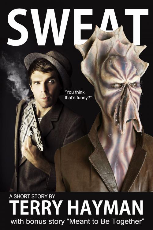 Cover of the book Sweat by Terry Hayman, Fiero Publishing