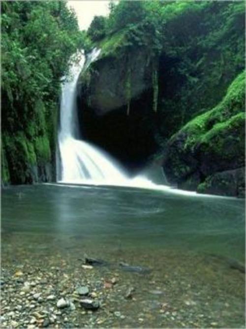 Cover of the book Traveling to Costa Rica: A Tourists Guide by Sam Wooley, Axel Publishing