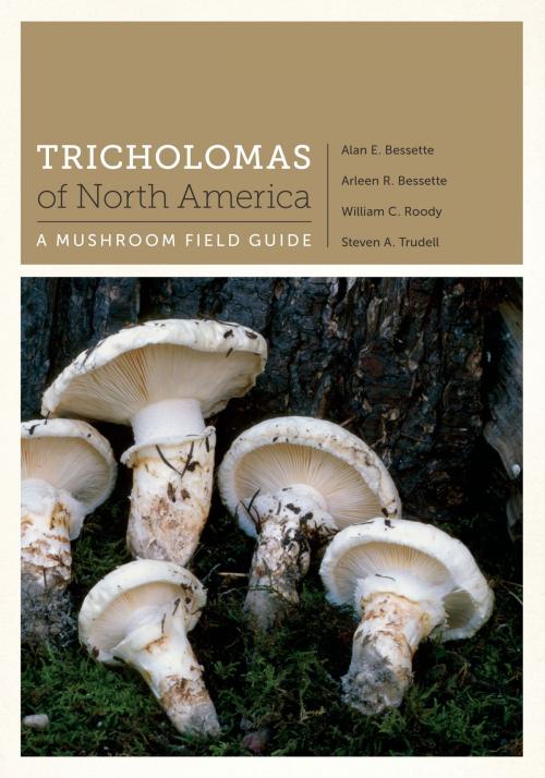 Cover of the book Tricholomas of North America by Alan E. Bessette, Arleen R. Bessette, William C. Roody, Steven A. Trudell, University of Texas Press