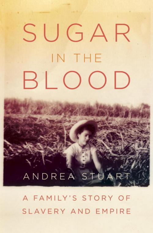 Cover of the book Sugar in the Blood by Andrea Stuart, Knopf Doubleday Publishing Group