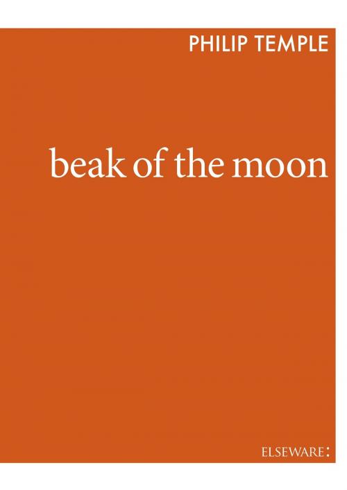 Cover of the book Beak of the Moon by Philip Temple, Elseware Publishing