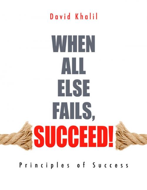 Cover of the book When All Else Fails, Succeed!: Principles of Success by David Khalil, David Khalil