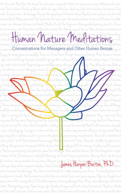 Cover of the book Human Nature Meditations by Dr. James Harper Burthon Sr., Wind Song LLC