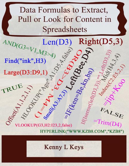 Cover of the book Data Formulas to Extract, Pull or Look for Content in Spreadsheets by Kenny L Keys, Lulu.com