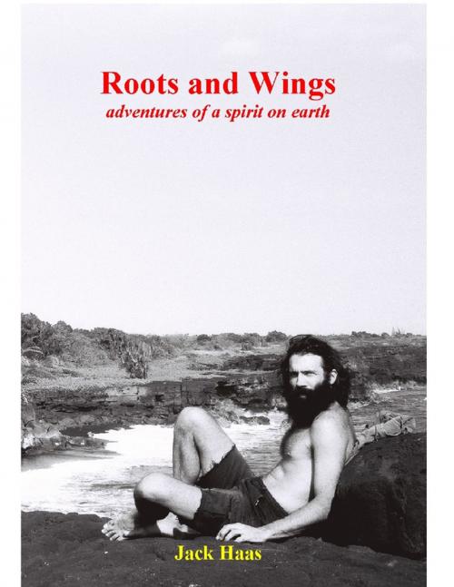 Cover of the book Roots and Wings: Adventures of a Spirit on Earth by Jack Haas, Lulu.com