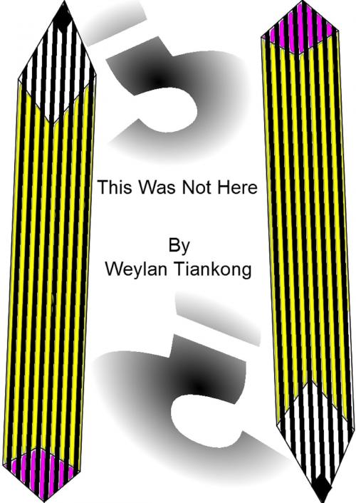 Cover of the book This Was Not Here by Weylan Tiankong, Weylan Tiankong