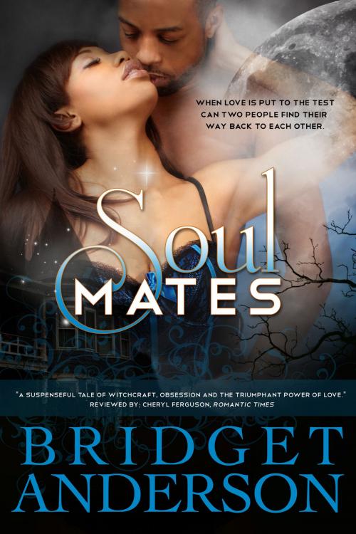 Cover of the book Soul Mates by Bridget Anderson, Bridget Anderson