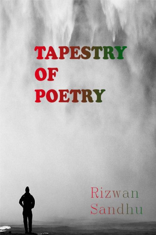 Cover of the book Tapestry of Poetry by Rizwan Sandhu, Rizwan Sandhu