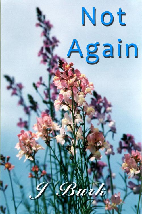 Cover of the book Not Again by J Burk, J Burk