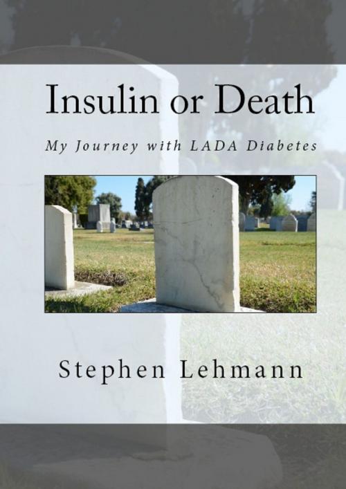 Cover of the book Insulin or Death by Stephen Lehmann, Stephen Lehmann