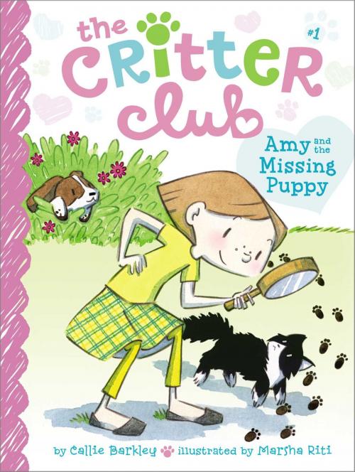 Cover of the book Amy and the Missing Puppy by Callie Barkley, Little Simon