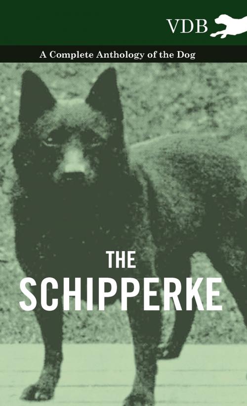 Cover of the book The Schipperke - A Complete Anthology of the Dog by Various, Read Books Ltd.