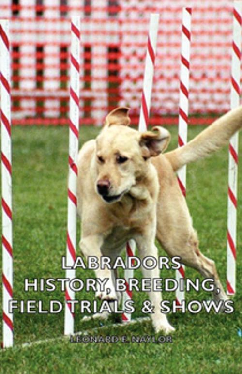 Cover of the book Labradors - History, Breeding, Field Trials & Shows by Leonard E. Naylor, Read Books Ltd.