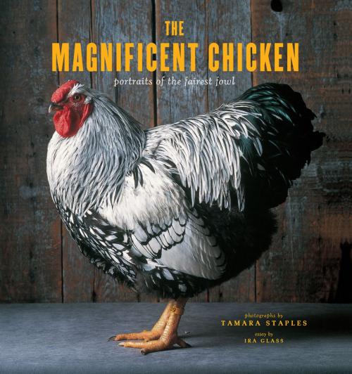 Cover of the book The Magnificent Chicken by Tamara Staples, Christa Velbel, Chronicle Books LLC