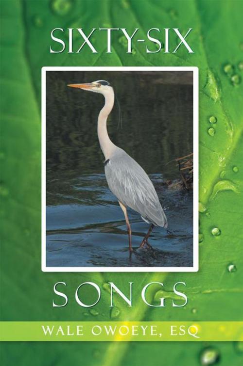 Cover of the book Sixty-Six Songs by Wale Owoeye ESQ, Xlibris US