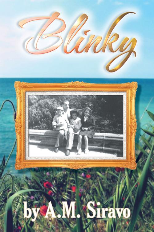 Cover of the book Blinky by A.M. Siravo, Xlibris US