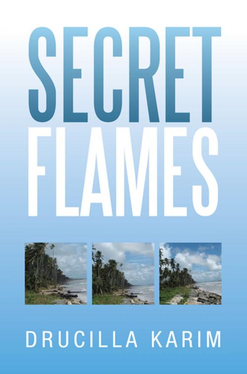 Cover of the book Secret Flames by Drucilla Karim, Xlibris US