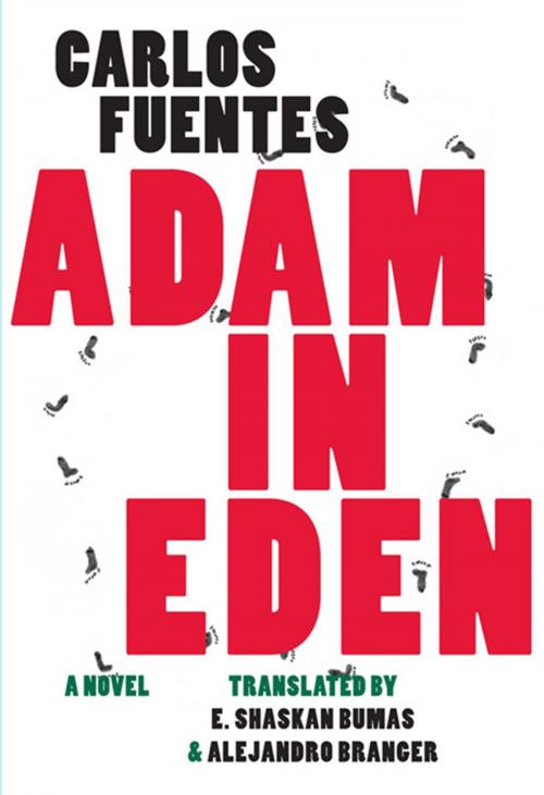 Cover of the book Adam in Eden by Carlos Fuentes, Dalkey Archive Press