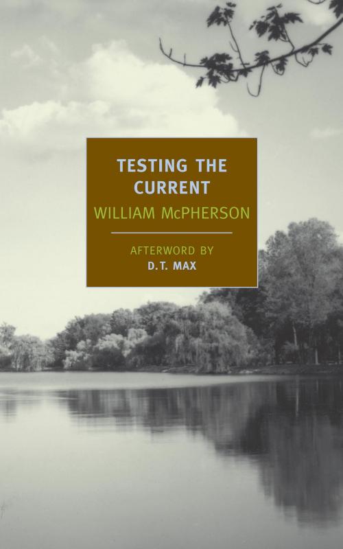 Cover of the book Testing the Current by William McPherson, D.T. Max, New York Review Books