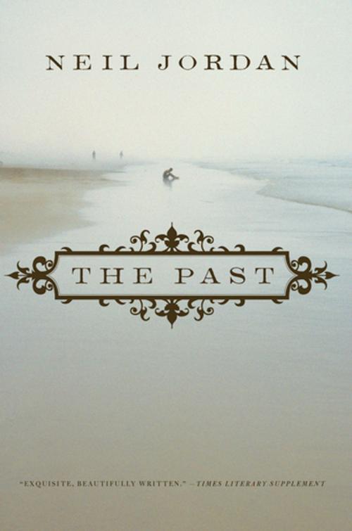 Cover of the book The Past by Neil Jordan, Soft Skull Press