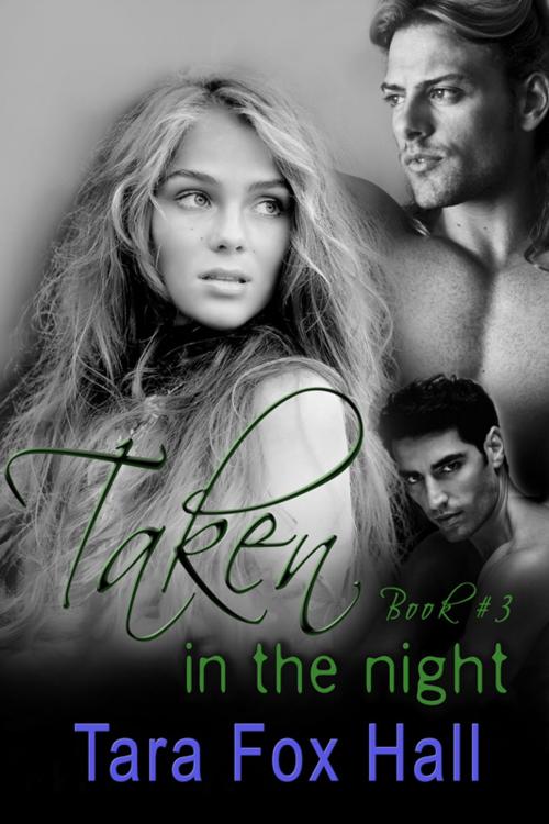 Cover of the book Taken in the Night by Tara Fox Hall, Melange Books