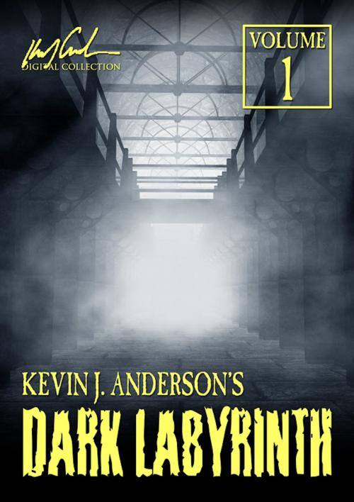 Cover of the book Dark Labyrinth 1 by Kevin J. Anderson, WordFire Press