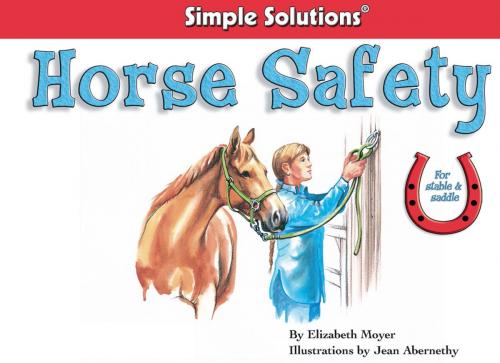 Cover of the book Horse Safety by Elizabeth Moyer, CompanionHouse Books